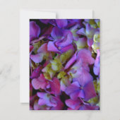 Carte De Remerciements Magenta Purple bleu jaune Hydrangeas fleurs (Dos)