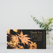Carte De Remerciements Maple Feuilles 3 Sympathy Thank You Note Card (Debout devant)