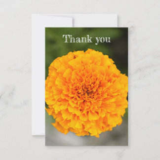 Carte De Remerciements Marigold Flat Thank You Card