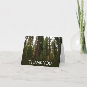 Carte De Remerciements Mariposa Grove dans le parc national de Yosemite