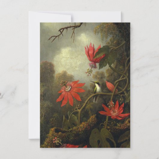 Carte De Remerciements Martin Johnson Heade - colibri (Devant)