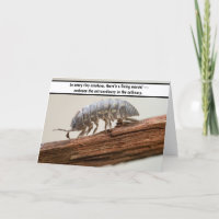 "Marvel in Miniature - The Woodlouse Wonder"