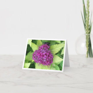 Carte De Remerciements Meadowsweet japonais