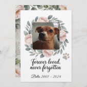 Carte De Remerciements Mémorial pour animaux de compagnie jamais aimé, ja (Devant / Derrière)