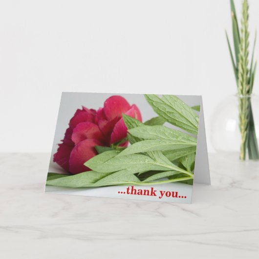 Carte De Remerciements … merci… (Devant)