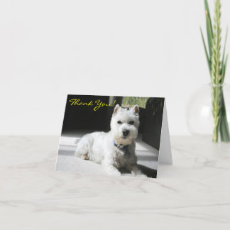 Carte De Remerciements Merci, Blanc, Mini Schnauzer