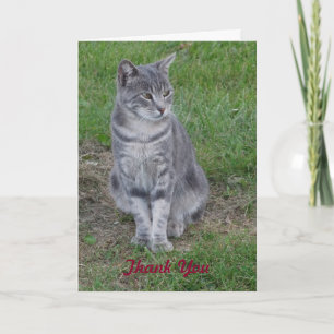 Carte De Remerciements Merci, Cadeau Purrfect