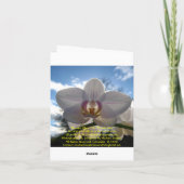 Carte De Remerciements Merci, coq (Dos)