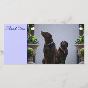 Carte De Remerciements Merci, laboratoires de chocolat