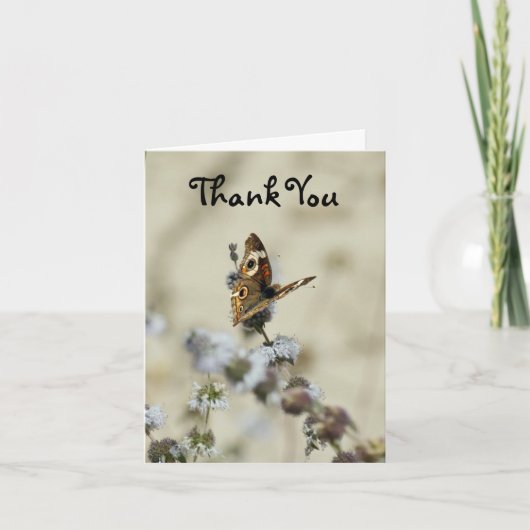 Carte De Remerciements Merci, Papillon (Devant)