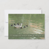 Carte De Remerciements Mère Canard et canettes par mon côté plat (Devant)