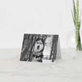 Carte De Remerciements Mes yeux Bleus Bébé (Devant)