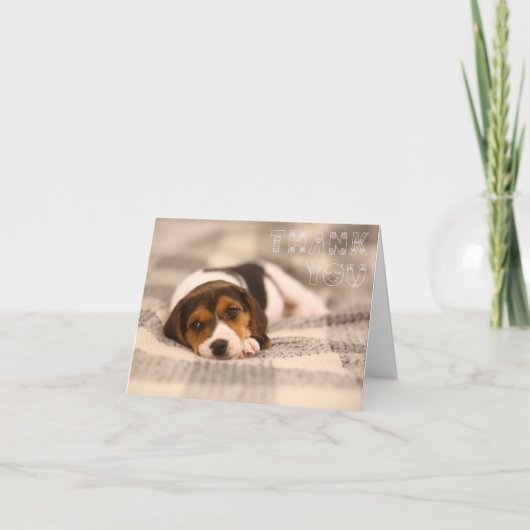 Carte de remerciements mignon avec chiot Beagle (Devant)
