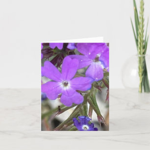 Carte De Remerciements Mildred La Fourmi 🐜 Regarde