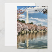 Carte De Remerciements Monuments | Memorial (Devant / Derrière)