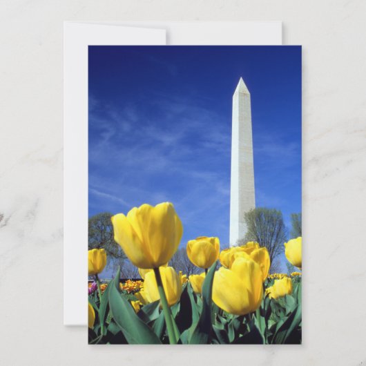 Carte De Remerciements Monuments | Washington Monument au printemps (Devant)