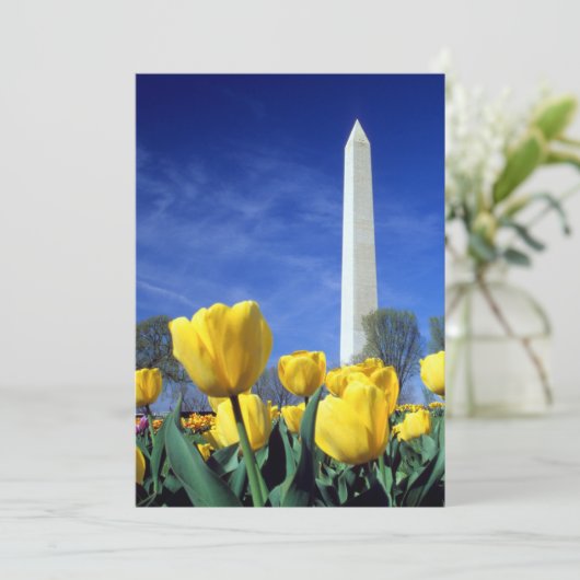 Carte De Remerciements Monuments | Washington Monument au printemps (Debout devant)