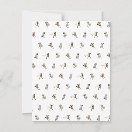 Carte De Remerciements Motif de labrador retriever (blanc) (Devant)