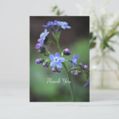 Carte De Remerciements Myosotis (Debout devant)