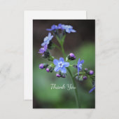 Carte De Remerciements Myosotis (Devant / Derrière)