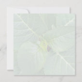 Carte De Remerciements Nature méditer feuilles fleurs rose blanc vert  (Dos)