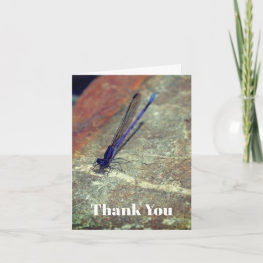 Carte de remerciements naturel pourpre de Damselfl (Devant)