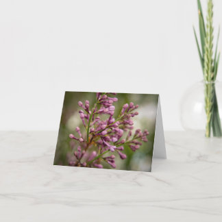 Carte De Remerciements New Mexico Garden