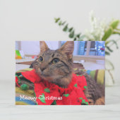 Carte De Remerciements Noël de Meowy (Debout devant)