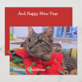 Carte De Remerciements Noël de Meowy (Devant / Derrière)