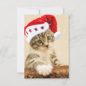 Carte De Remerciements Noël père Noël Cat (Devant)