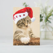 Carte De Remerciements Noël père Noël Cat (Debout devant)