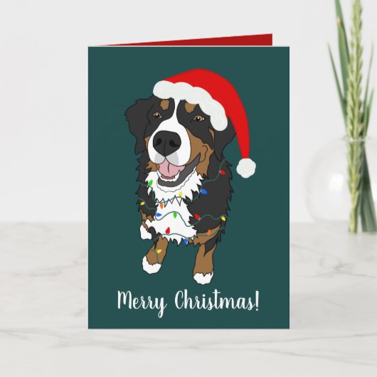 Carte De Remerciements Noël Vacances Bernese Mountain Dog (Devant)