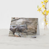 carte de remerciements "North American River Otter (Fleur jaune)
