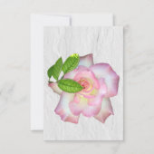 Carte De Remerciements Nota intérieure blanche rose et rose blanche (Devant)