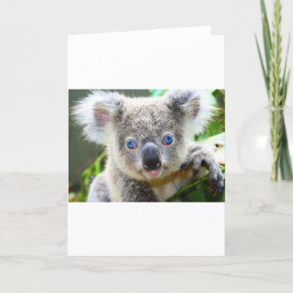 Carte De Remerciements Nounours Koala Mignon