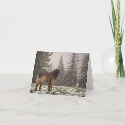 Carte De Remerciements Nous vous souhaitons la paix (Devant)