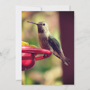 Carte De Remerciements Oiseau de Humming sur le chargeur