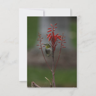 Carte De Remerciements Oiseau oculaire blanc japonais