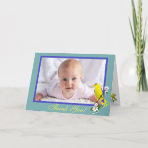 Carte De Remerciements Oiseaux