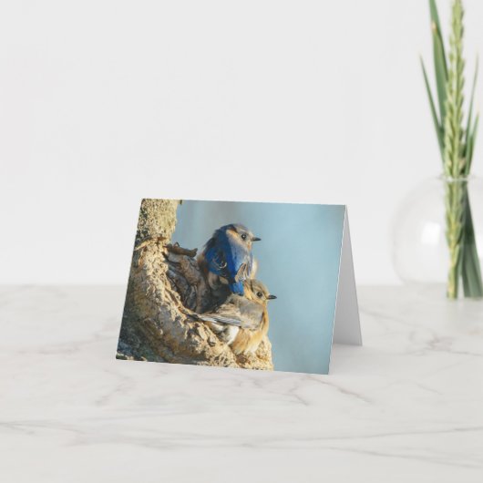 Carte De Remerciements Oiseaux bleus câlins (Devant)