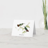 Oiseaux-mouches et fleurs pliées