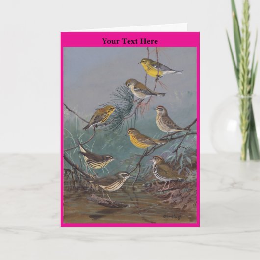 Carte De Remerciements Oiseaux no4 (Devant)