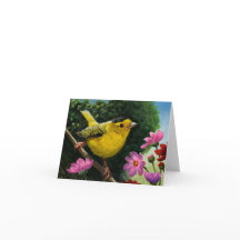 Oiseaux - Paruline de Wilson