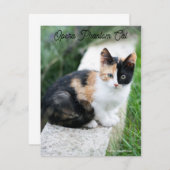 Carte De Remerciements Opera Phantom Chat (Devant / Derrière)