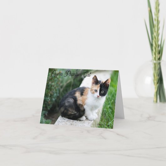 Carte De Remerciements Opera Phantom Chat (Devant)