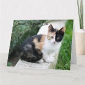 Carte De Remerciements Opera Phantom Chat (Devant)