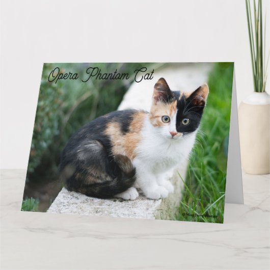 Carte De Remerciements Opera Phantom Chat (Devant)