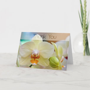 Carte De Remerciements Orchid