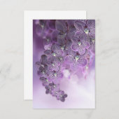 Carte De Remerciements Orchidées de fleurs violettes (Devant / Derrière)