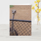 carte de remerciements "Ostrich" (Fleur jaune)